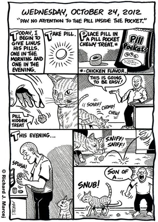 Daily Comic Journal: October 24, 2012: “Pay No Attention To The Pill Inside The Pocket.”