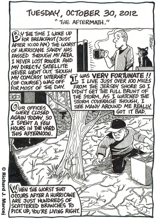 Daily Comic Journal: October 30, 2012: “The Aftermath.”