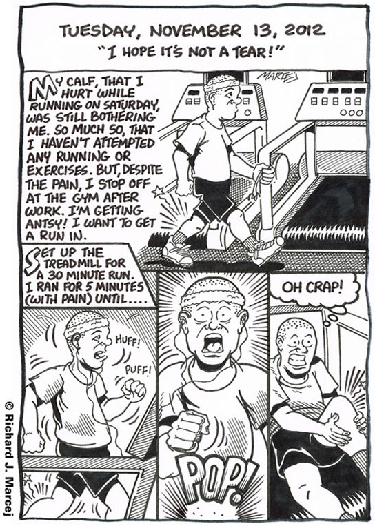 Daily Comic Journal: November 13, 2012: “I Hope It’s Not A Tear!”