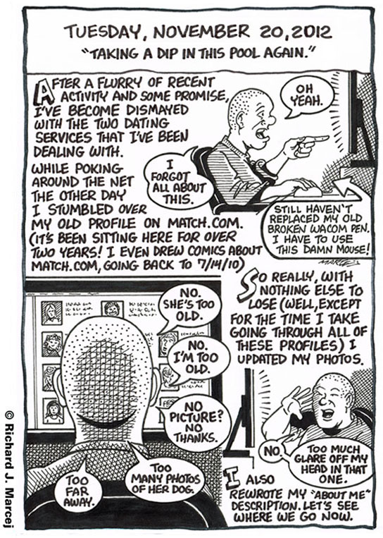 Daily Comic Journal: November 20, 2012: “Taking A Dip In This Pool Again.”