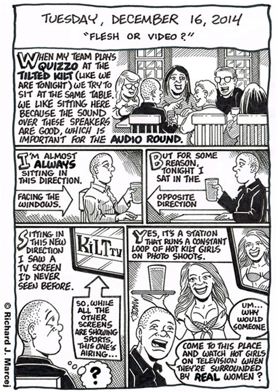 Daily Comic Journal: December 16, 2014: “Flesh Or Video?”