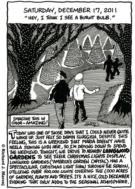 Daily Comic Journal: December 17, 2011: “Hey, I Think I See A Burnt Bulb.”