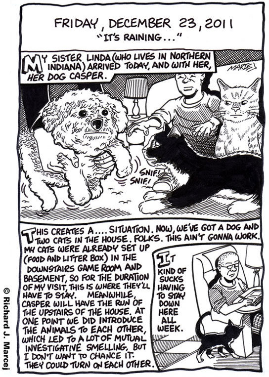 Daily Comic Journal: December 23, 2011: “It’s Raining …”