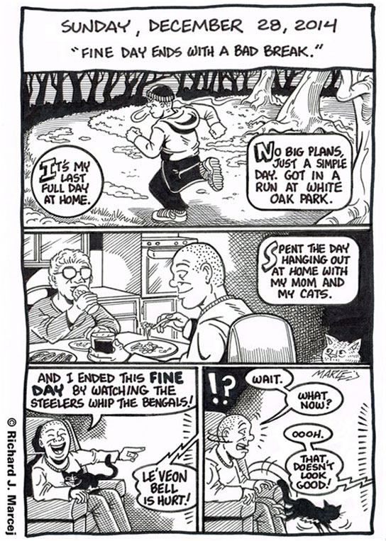 Daily Comic Journal: December 28, 2014: “Fine Day Ends With A Bad Break.”