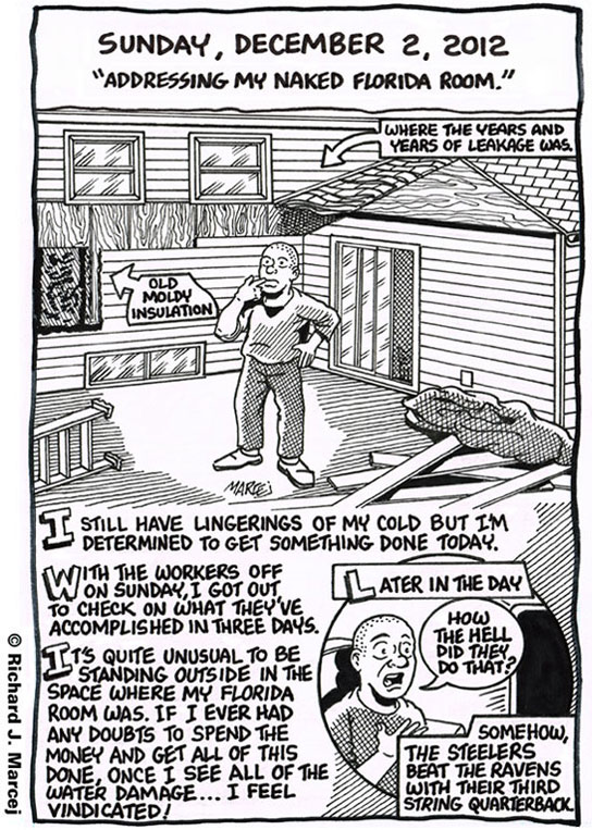 Daily Comic Journal: December 2, 2012: “Addressing My Naked Florida Room.”