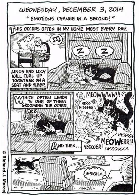 Daily Comic Journal: December 3, 2014: “Emotions Change In A Second!”