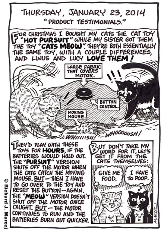 Daily Comic Journal: January 23, 2014: “Product Testimonials.”