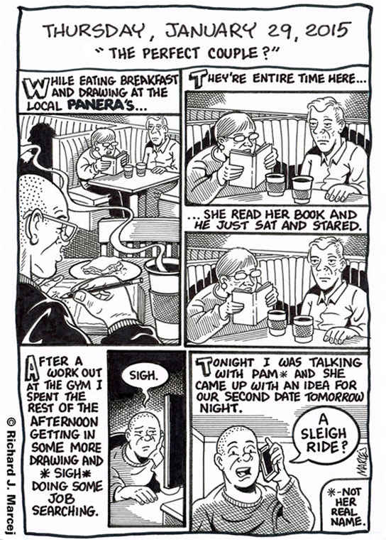 Daily Comic Journal: January 29, 2015: “The Perfect Couple?”