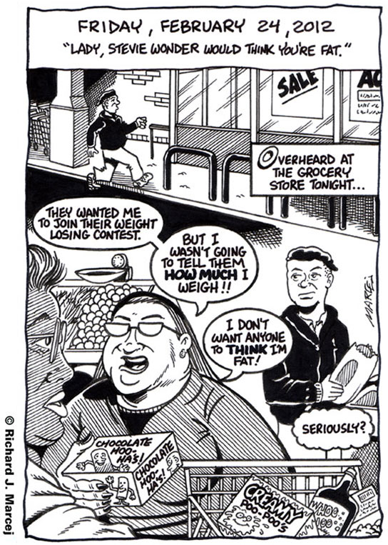 Daily Comic Journal: February 24, 2012: “Lady, Stevie Wonder Would Think You’re Fat.”