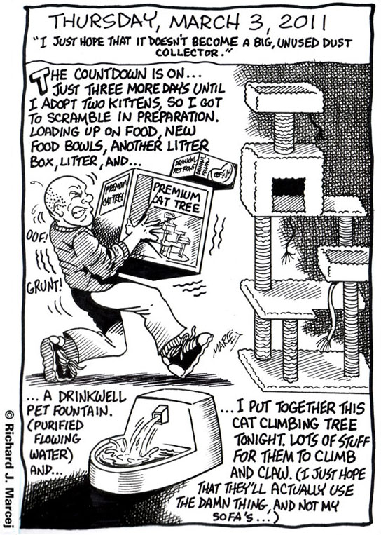 Daily Comic Journal: March 3, 2011: “I Just Hope That It Doesn’t Become A Big, Unused Dust Collector.”