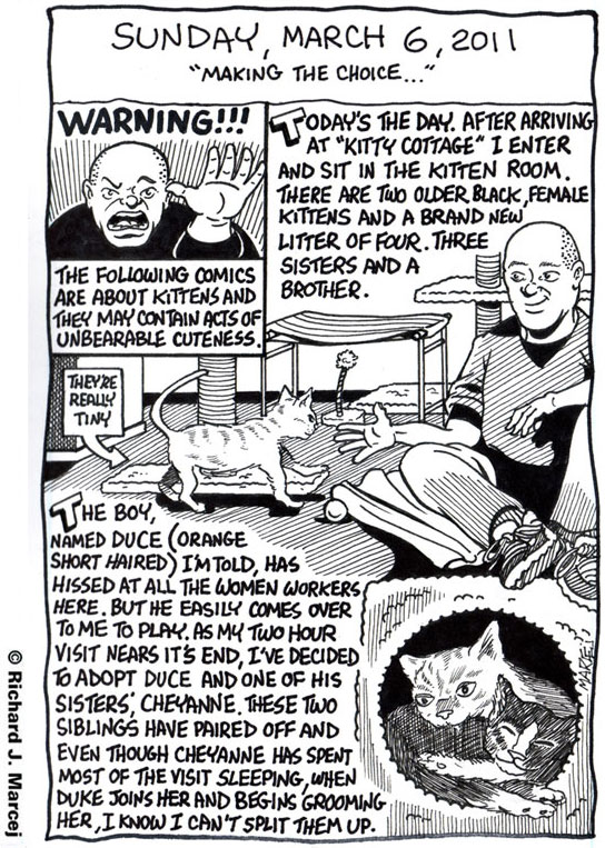Daily Comic Journal: March 6, 2011: “Making The Choice……And Bringing Them Home.”