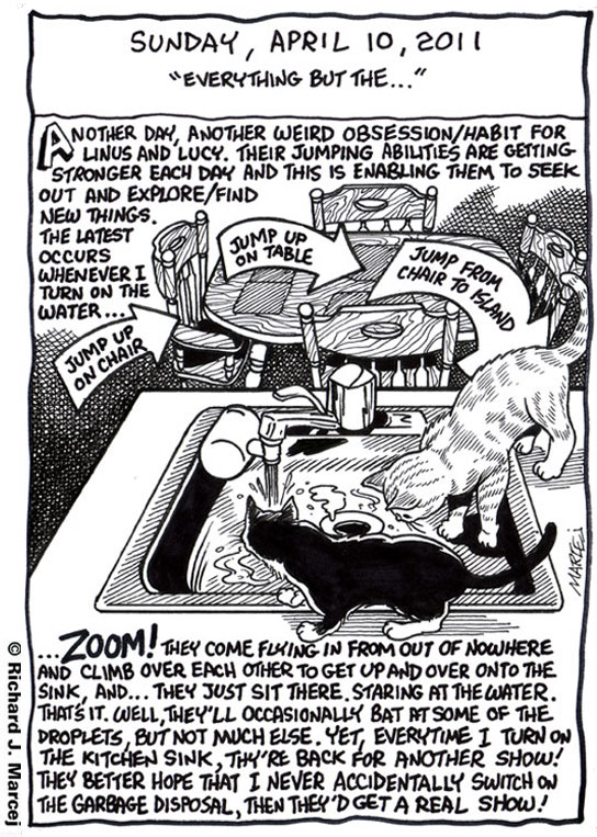 Daily Comic Journal: April 10, 2011: “Everything But The …”