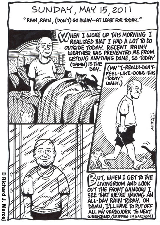 Daily Comic Journal: May 15, 2011: “Rain, Rain, (Don’t) Go Away – At Least For Today.”
