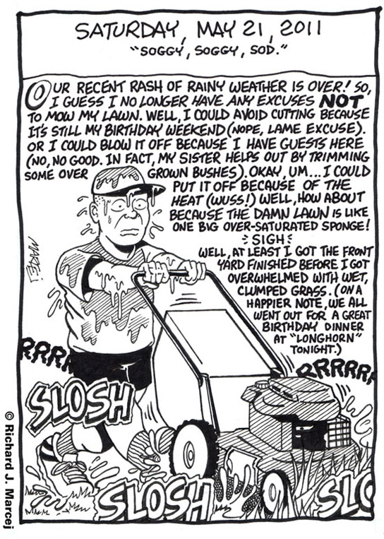 Daily Comic Journal: May 21, 2011: “Soggy, Soggy, Sod.”