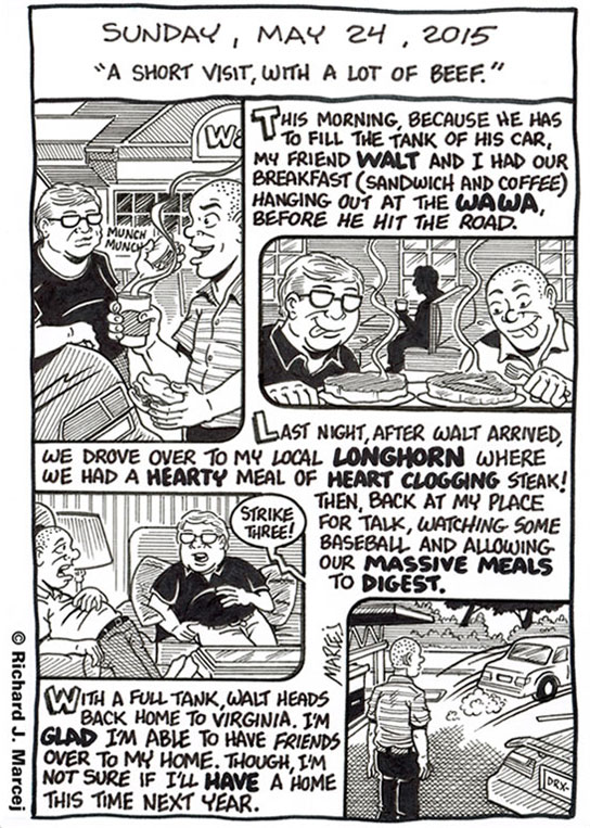 Daily Comic Journal: May 24, 2015: “A Short Visit, With A Lot Of Beef.”