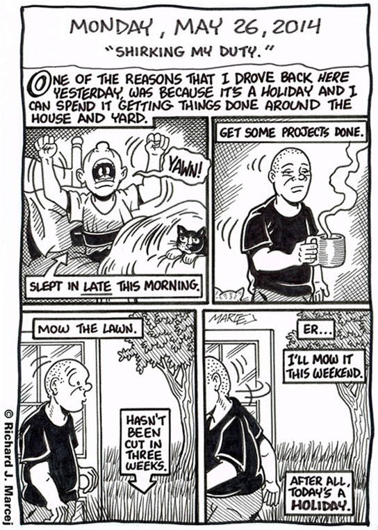 Daily Comic Journal: May 26, 2014: “Shirking My Duty.”