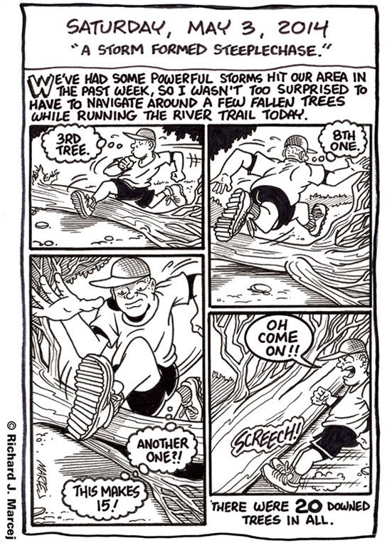 Daily Comic Journal: May 3, 2014: “A Storm Formed Steeplechase.”