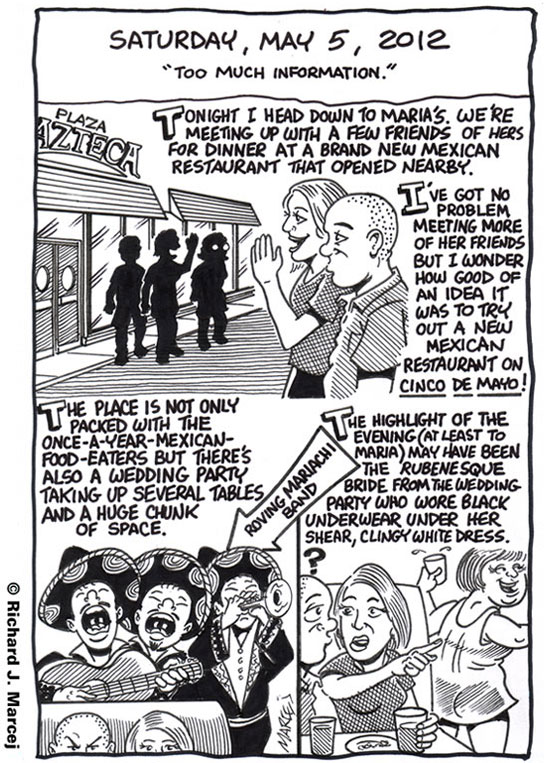 Daily Comic Journal: May 5, 2012: “Too Much Information.