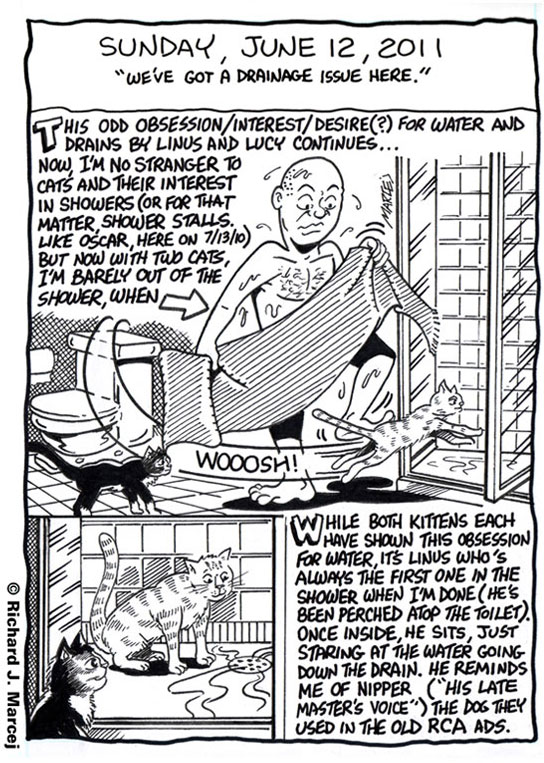 Daily Comic Journal: June 12, 2011: “We’ve Got A Drainage Issue Here.”