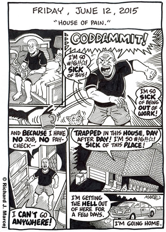 Daily Comic Journal: June 12, 2015: “House Of Pain.”