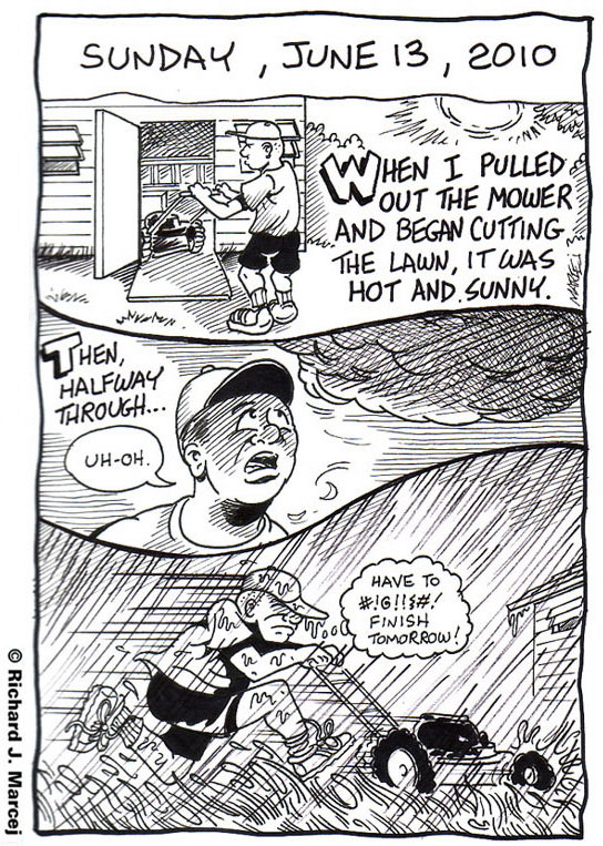 Daily Comic Journal: Sunday, June 13, 2010