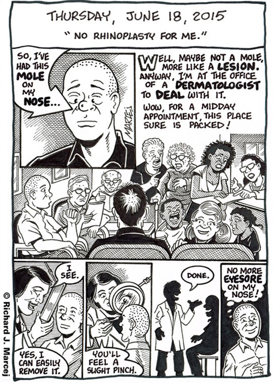Daily Comic Journal: June 18, 2015: “No Rhinoplasty For Me.”