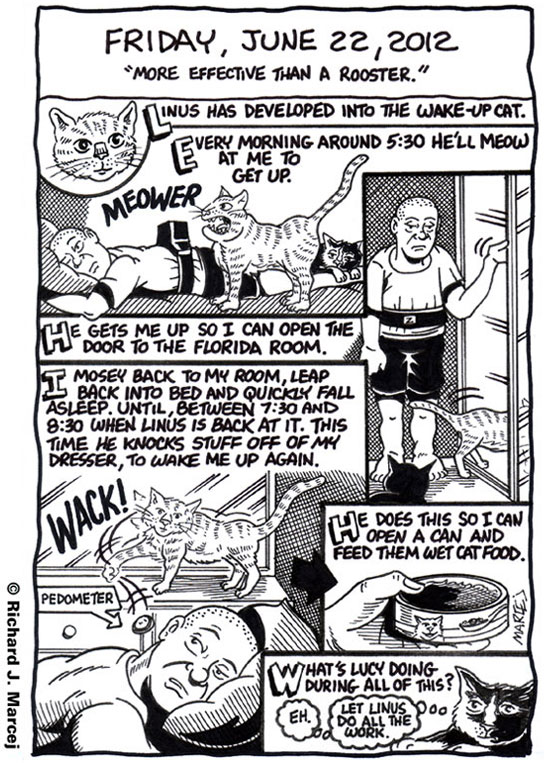 Daily Comic Journal: June 22, 2012: “More Effective Than A Rooster.”