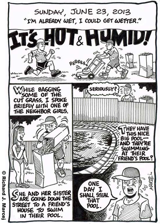 Daily Comic Journal: June 23, 2013: “I’m Already Wet, I Could Get Wetter.”