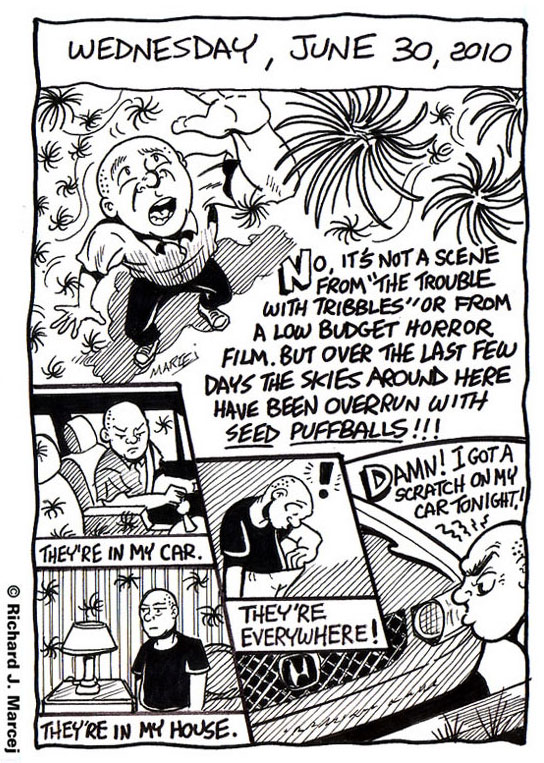 Daily Comic Journal: Wednesday, June 30, 2010