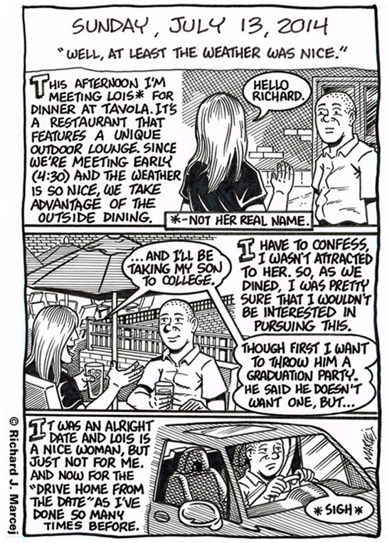 Daily Comic Journal: July 13, 2014: “Well, At Least The Weather Was Nice.”