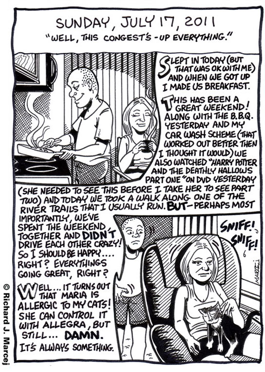 Daily Comic Journal: July 17, 2011: “Well, This Congest’s-Up Everything.”