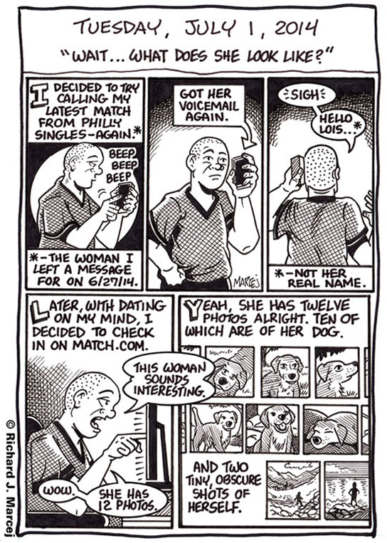 Daily Comic Journal: July 1, 2014: “Wait…What Does She Look Like?”