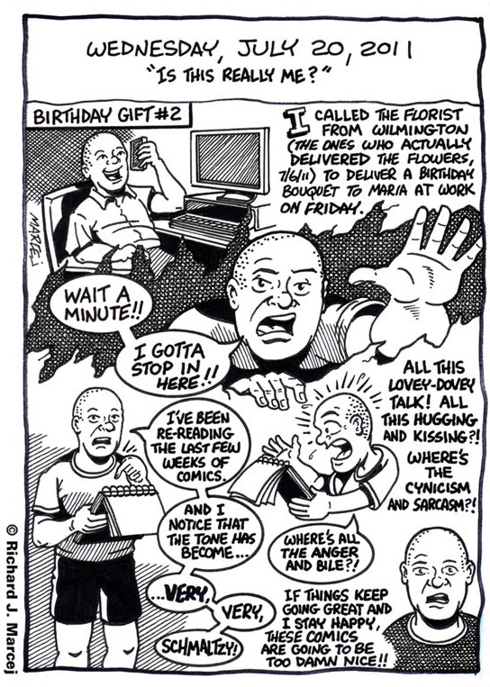 Daily Comic Journal: July 20, 2011: “Is This Really Me?”