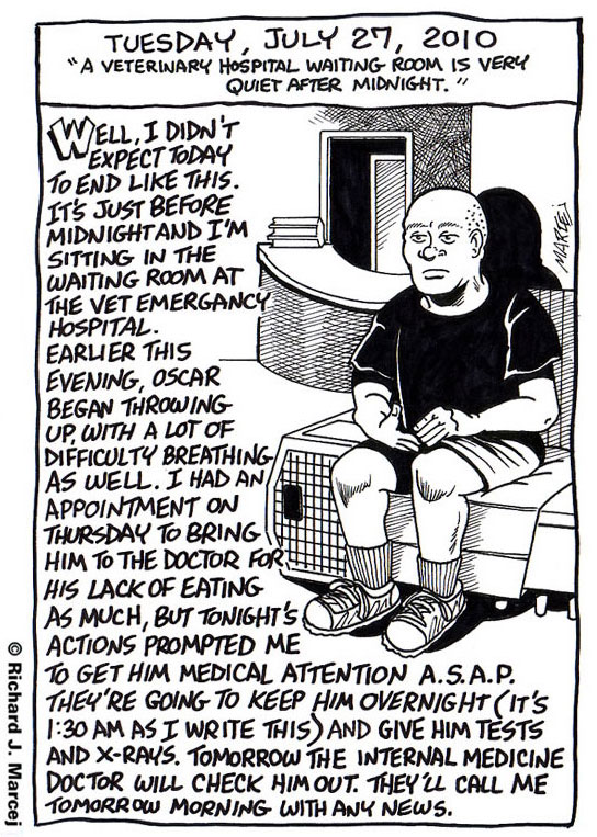 Daily Comic Journal: July 27, 2010: “A Veterinary Hospital Waiting Room Is Very Quiet After Midnight.”