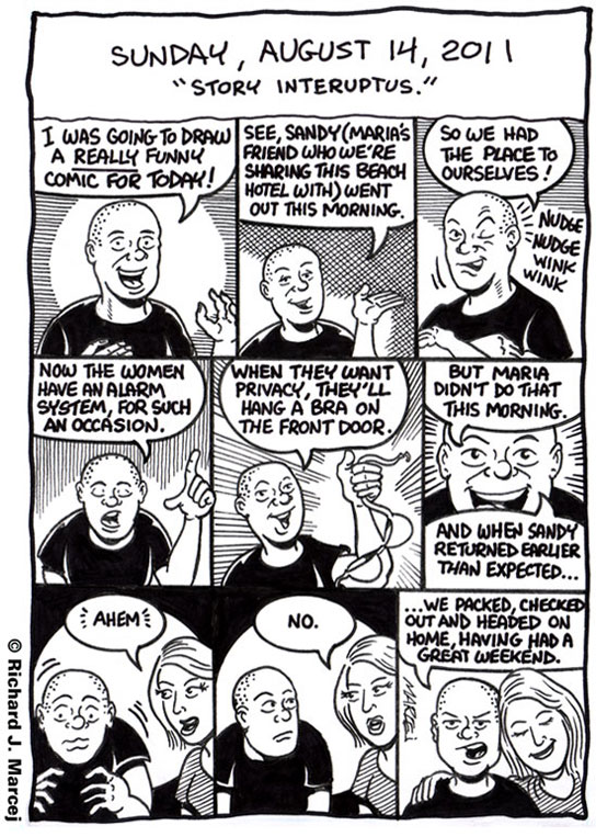 Daily Comic Journal: August 14, 2011: “Story Interuptus.”