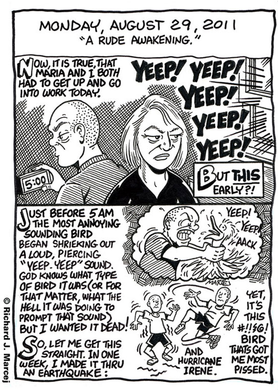 Daily Comic Journal: August 29, 2011: “A Rude Awakening.”