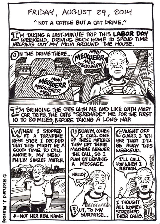 Daily Comic Journal: August 29, 2014: “Not A Cattle But A Cat Drive.”