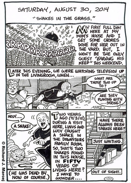 Daily Comic Journal: August 30, 2014: “Snakes In The Grass.”