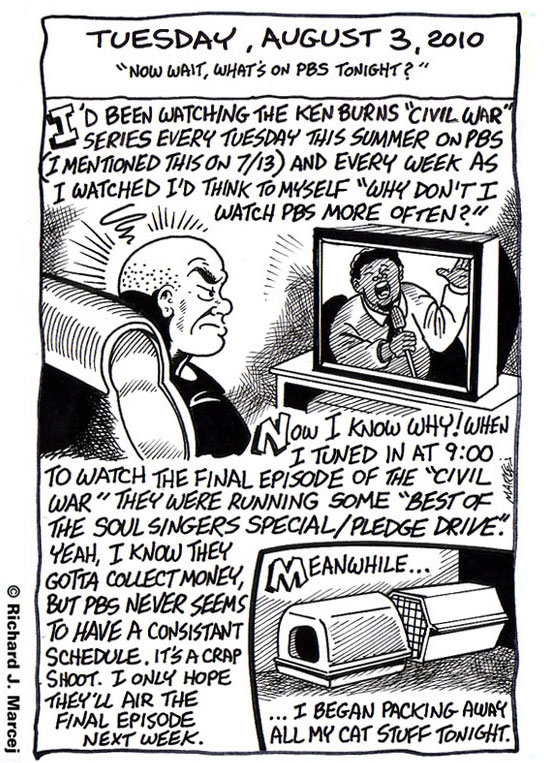 Daily Comic Journal: August 3, 2010: “Now wait, What’s On PBS Tonight?”