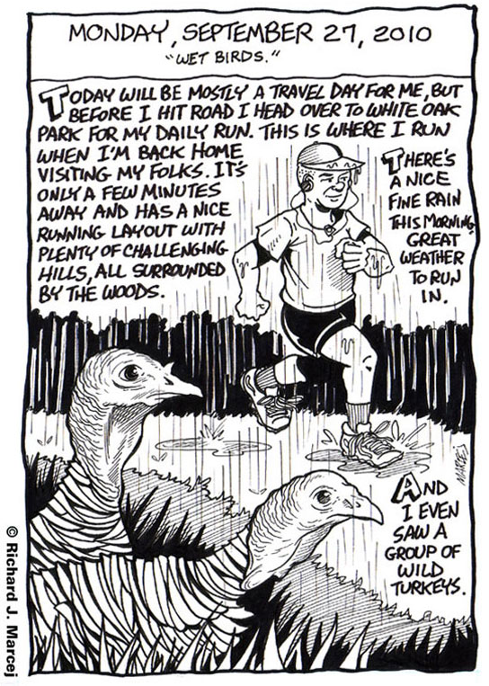 Daily Comic Journal: September, 27, 2010: “Wet Birds.”