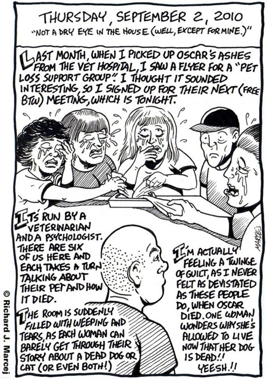 Daily Comic Journal: September, 2, 2010: “Not A Dry Eye in The House (Well, Except For Mine).”
