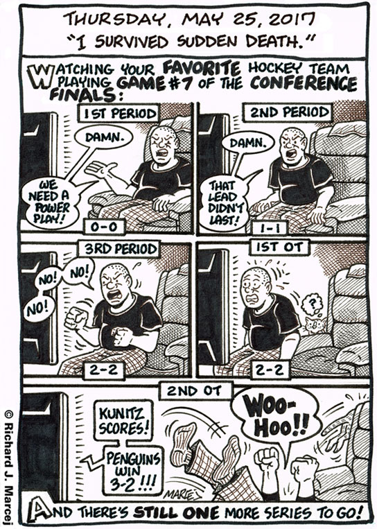 Daily Comic Journal: May 25, 2017: “I Survived Sudden Death.”
