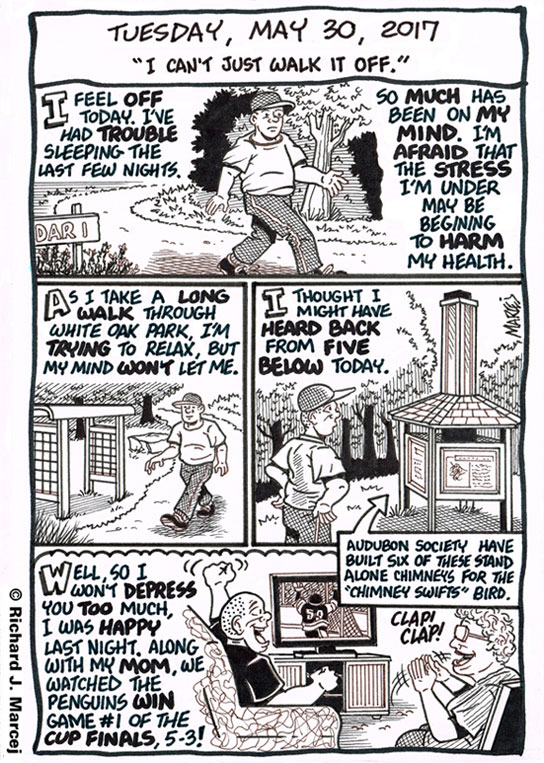 Daily Comic Journal: May 30, 2017: “I Can’t Just Walk It Off.”