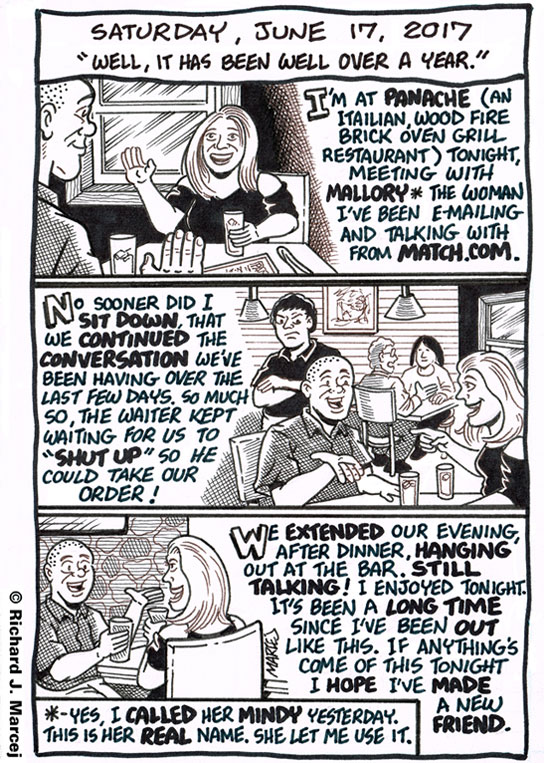 Daily Comic Journal: June 17, 2017: “Well, It’s Been Well Over A Year.”