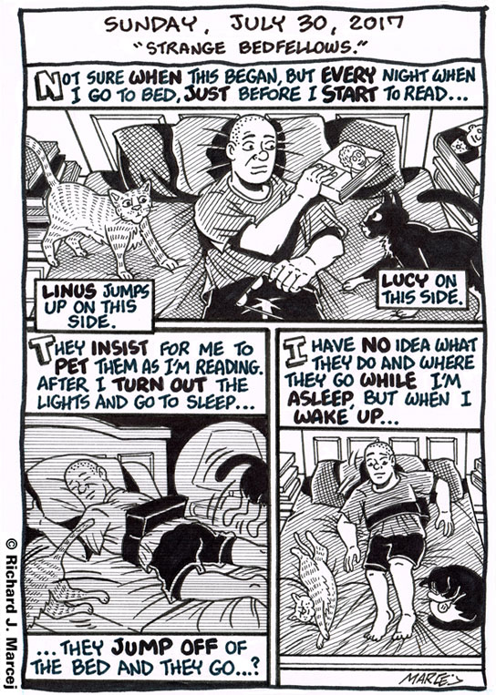 Daily Comic Journal: July 30, 2017: “Strange Bedfellows.”