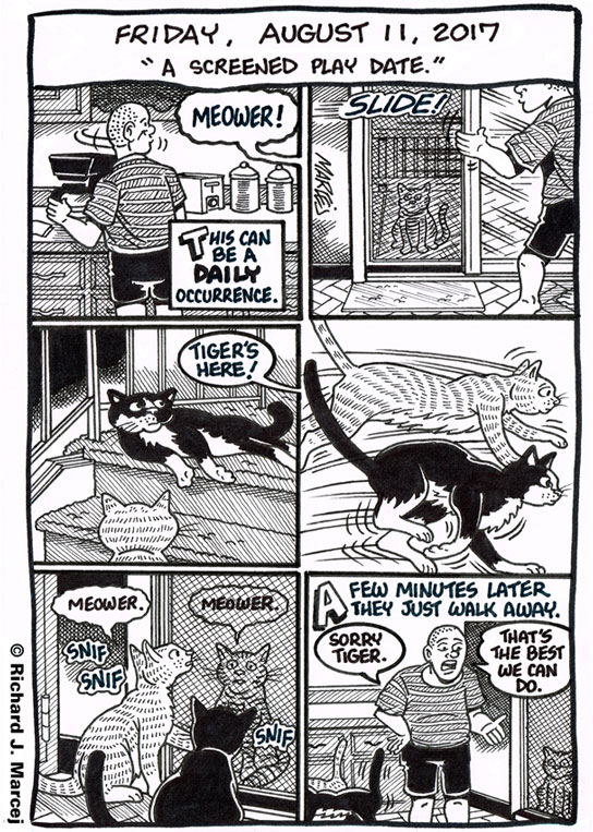 Daily Comic Journal: August 11, 2017: “A Screened Play Date.”