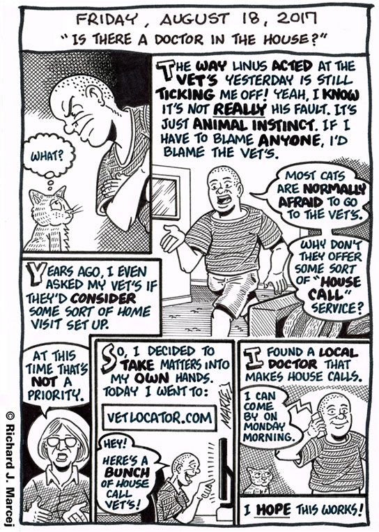 Daily Comic Journal: August 18, 2017: “Is There A Doctor In The House?”