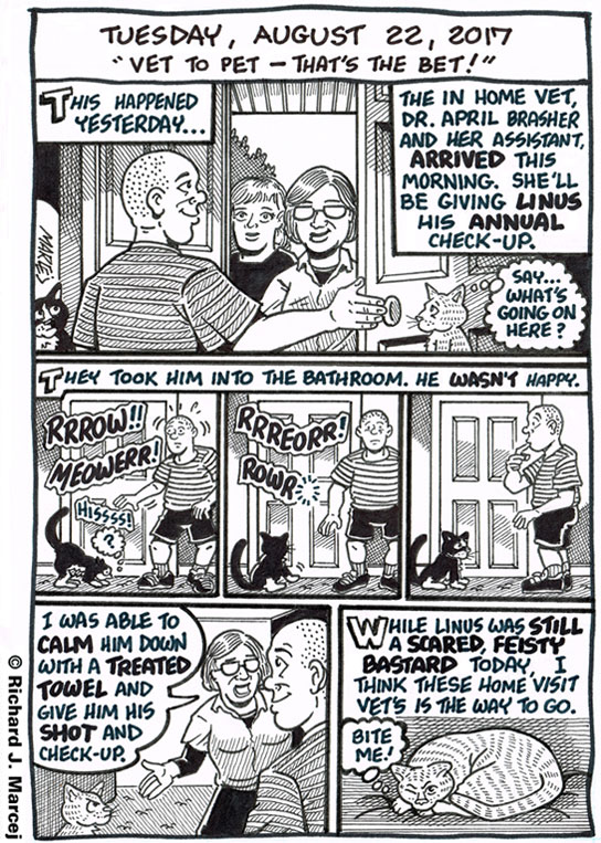 Daily Comic Journal: August 22, 2017: “Vet To Pet – That’s The Bet!”