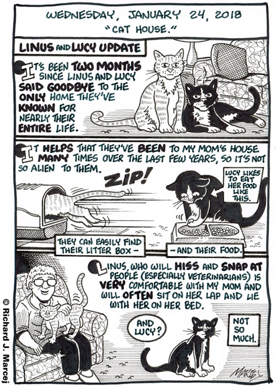 Daily Comic Journal: January 24, 2018: “Cat House.”