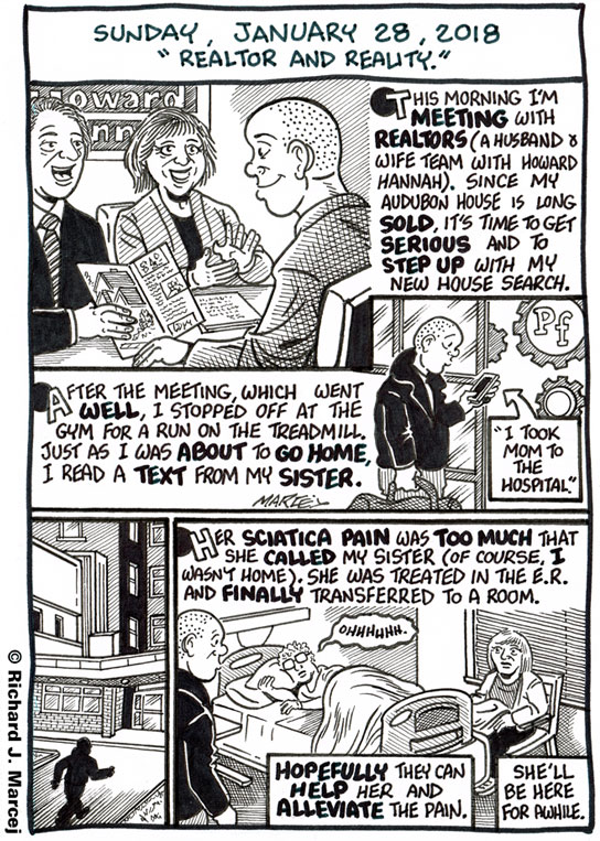 Daily Comic Journal: January 28, 2018: “Realtor And Reality.”